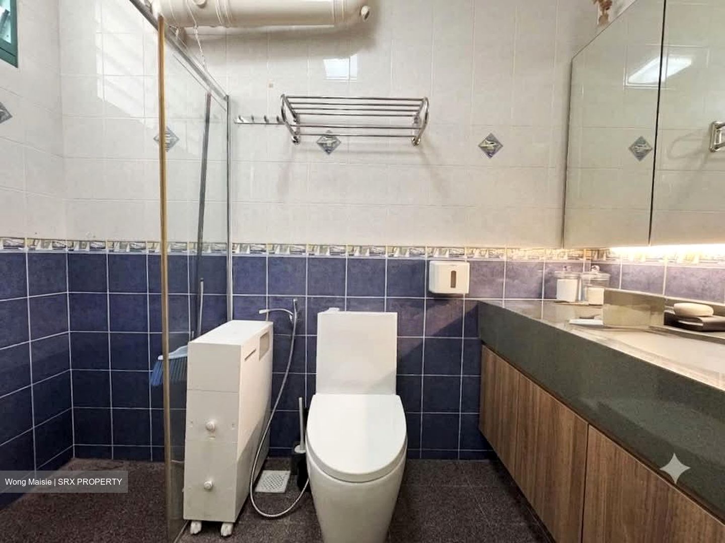 Blk 484 Segar Gardens (Bukit Panjang), HDB Executive #599080111